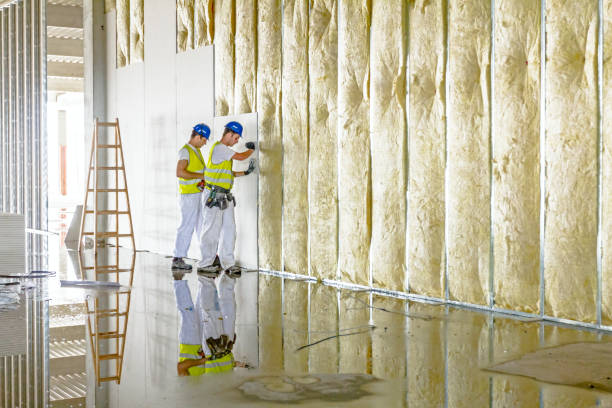 Best Local Insulation Services  in Kenworth, IL